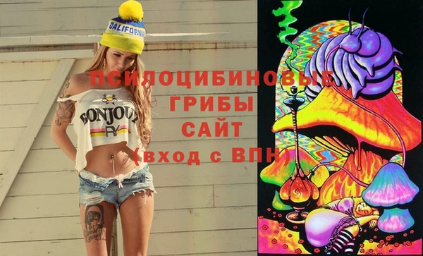 тгк Абинск
