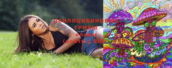 круглые Абаза
