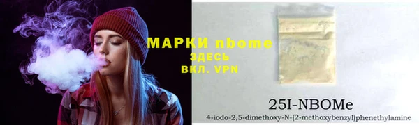 стаф Алзамай