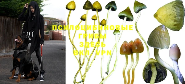 тгк Абинск