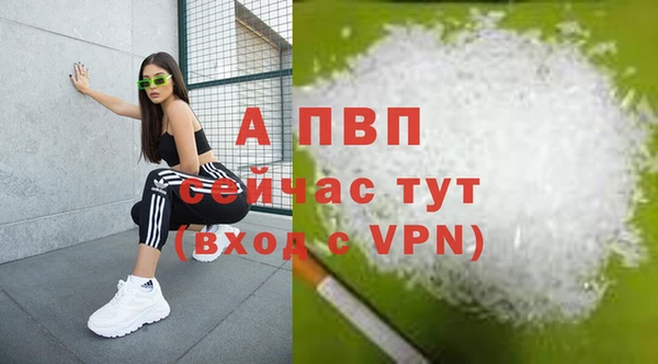 гидра Алексеевка