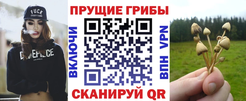 Галлюциногенные грибы Magic Shrooms  Тюкалинск 